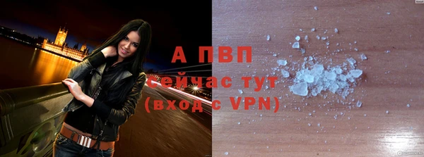 гидра Переславль-Залесский