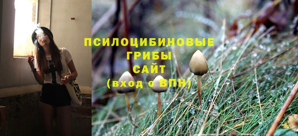 хмурый Пестово
